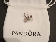 Original Pandora Charm Glühwürmchen 925 Silber - Brachbach