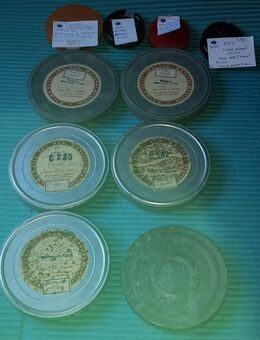 Antiken Filme zu verkaufen - Aachen