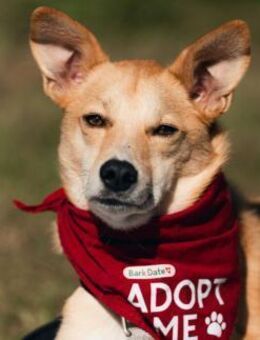 Menschenbezogener, lieber Aurell - Kallmünz