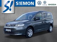 VW Caddy, 1.5 TSI Kombi AppConne, Jahr 2023 - Warendorf