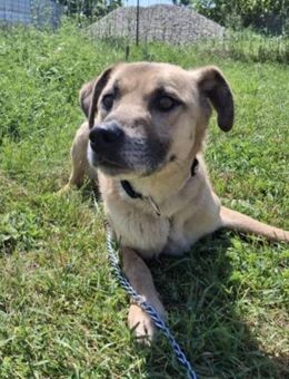 Happy End für Jukka gesucht - Greiz