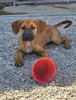 Leila bringt Freude ins Haus! - München
