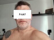 Suche Sie für AV TG treffen - Köln