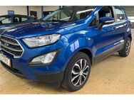 Ford EcoSport, Cool & Connect Notbremsass Vorb, Jahr 2019 - Mönchengladbach