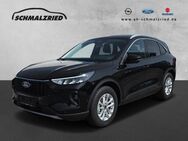 Ford Kuga, Titanium digitales El Fondsitzverst, Jahr 2024 - Bremerhaven