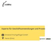 Experte für Geschäftsanwendungen und Prozesse - Haren (Ems)