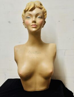 Vintage Champs Elysee Werbe Büste aus Gips Mieder BH Reklamefigur - Köln