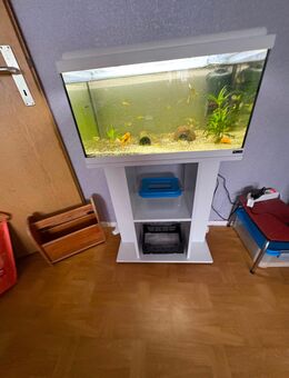 Aquamarin mit Schrank - Berlin Marzahn-Hellersdorf