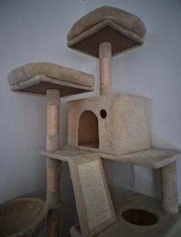 Kratzbaum - Rain (Regierungsbezirk Schwaben)