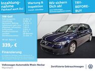 VW Golf, 1.5 TSI VIII Life, Jahr 2024 - Mannheim