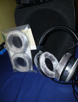 Kopfhörer Beyerdynamic dt990 - Berlin Reinickendorf