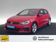 VW Golf, 2.0 TSI VII GTI-Performance, Jahr 2019 - Krefeld