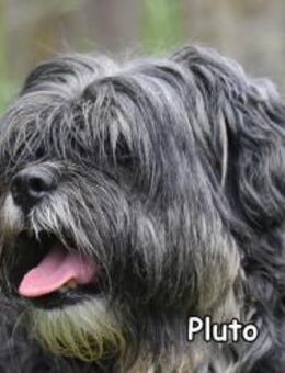 PLUTO - Donzdorf