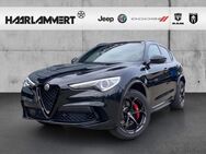 Alfa Romeo Stelvio, Quadrifoglio, Jahr 2022 - Hasbergen