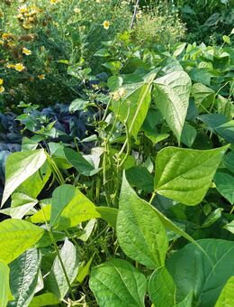 Ich suche Dich?!? - Hamburg