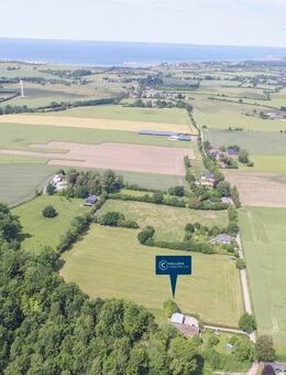 Reetdachkate an der Ostsee in idyllischer Alleinlage mit drei Wohnungen + 2,2 ha Land - Gelting