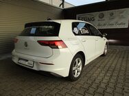 VW Golf, 2.0 TDI Life, Jahr 2020 - Lastrup