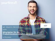 Mitarbeiter für die Produktionskoordination (m/w/d) - Pforzheim