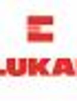 SAP - Service Manager (m/w/d) - Hemmingen (Baden-Württemberg)