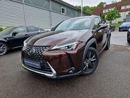 Lexus UX Executive Line HUD/Navi/TWW/Leder - Nürtingen