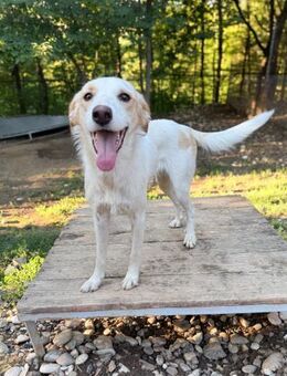 LIMA möchte die Welt kennen lernen - Schwabach