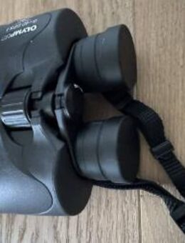 Fernglas OLYMPUS 8 X 40 DPS I Field 8.2° - Wohlen b. Bern