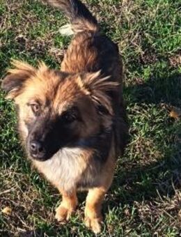 Actimel ist eine sehr liebe Maus - Olsberg