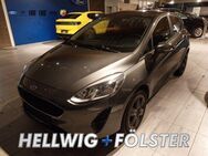 Ford Fiesta TREND KLIMA / PDC / BLUETOOTH / WINTER-PAKET - Itzehoe