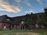 Großzügiges nordfriesisches Reetdachhaus auf der Hallig Langeneß - Langeneß