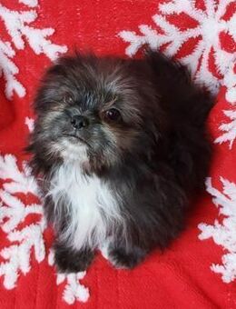 Tiktak° - Wolfhagen