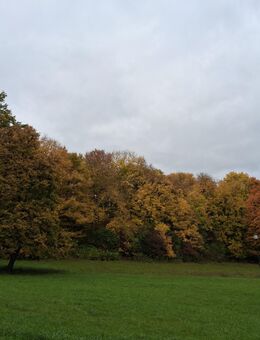 Biete Hundebetreuung Heidenheim - Heidenheim (Brenz)