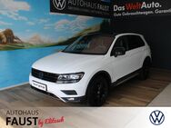 VW Tiguan, OFFROAD Sportpaket, Jahr 2020 - Coswig