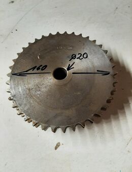 Doppel Ketten Rad mit 20 mm Bohrung - Büdingen