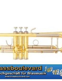 B & S Challenger II, Modell 3137/2 GLB-L aus Goldmessing. Inkl. Koffer und Mundstück - Hagenburg