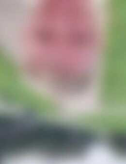 Dom*** - Raschau-Markersbach