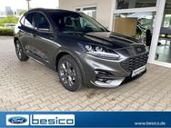 Ford Kuga, ST-Line X iACC, Jahr 2024 - Glauchau