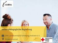 Sonderpädagogische Begleitung - Schwentinental