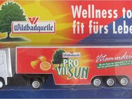 Wildbadquelle Nr.01 - Pro VitSun - MB Actros - Sattelzug - Doberschütz