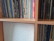 Schallplatten Ankauf Vinyl & CD Sammlungen – von Privat! - Berglern