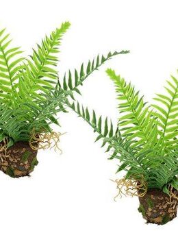 Kunstpflanze Künstlicher Waldfarn im Topf, I.GE.A., Höhe 25 cm, 2er Set Farn Büsche Pflanze Deko Grünpflanze Waldpflanze Zimmerpflanze