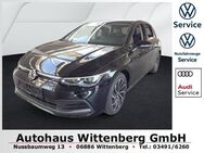 VW Golf, 2.0 TDI VIII Active K, Jahr 2022 - Wittenberg (Lutherstadt) Wittenberg