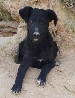 Emine möchte so gerne die Welt entdecken - Laatzen