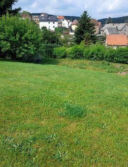 :Einfamilienhaus mit großen Grundstück und Nebengelass ,für Käufer die das Ländliche lieben zu verkaufen - Gera