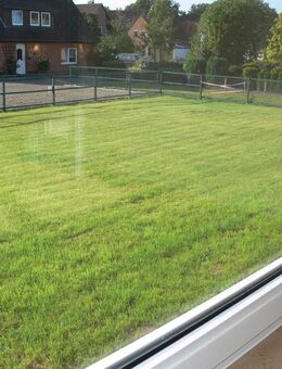 4 Familienhaus - Liebenau (Niedersachsen)