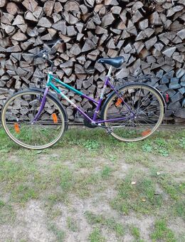Fahrrad mit Ketten Schaltung - Büdingen