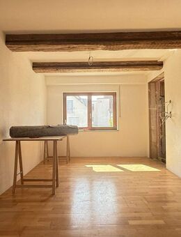 CHARMANT, STADTNAH, IM GRÜNEN! Neu ausgebaute 1 1/2-Zi.-Single-Wohnung mit SüdWest-Terrasse - Ravensburg
