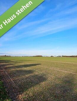 Ein Komforthaus für jedermann im kommenden Baugebiet in Stederdorf. - Peine