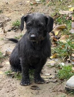 Ich heiße Greti ... mit Video - Frankfurt (Main)