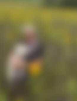 Igg*** - Buchen (Odenwald)