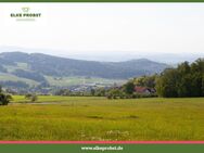 Welch´ ein Ausblick! Freizeitgrundstück in absolut ruhiger Alleinlage - Waldmünchen